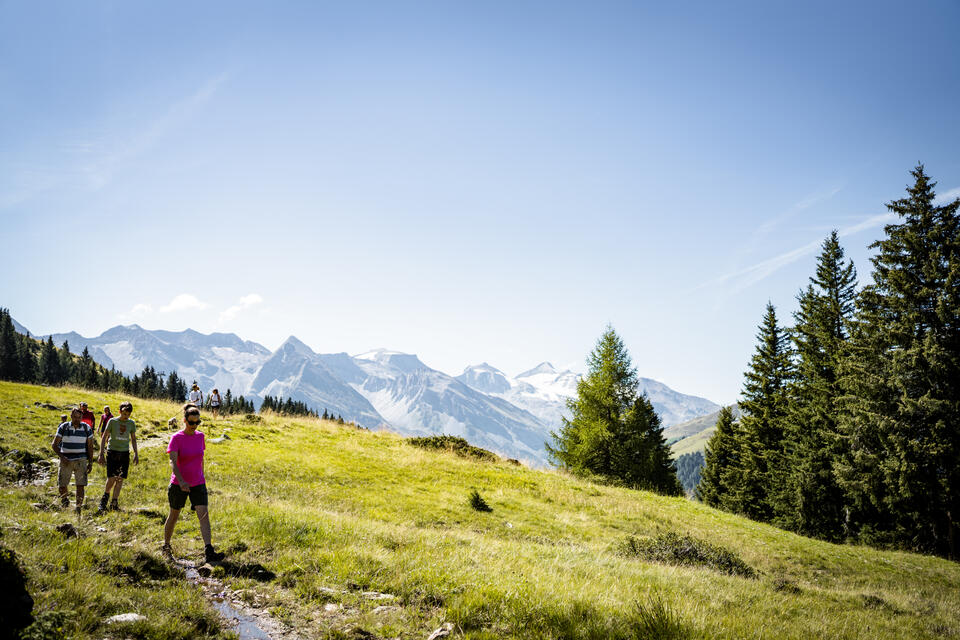 group hike in the Zillertal Valley