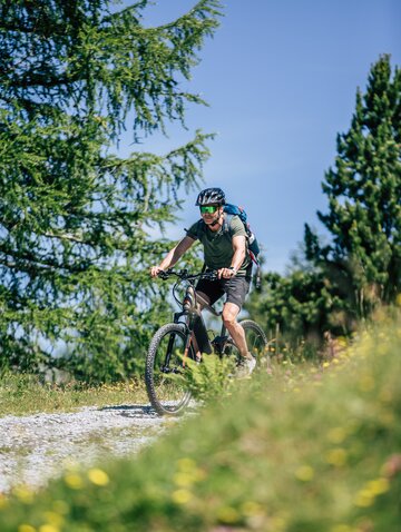 mountain bike trail in Tux