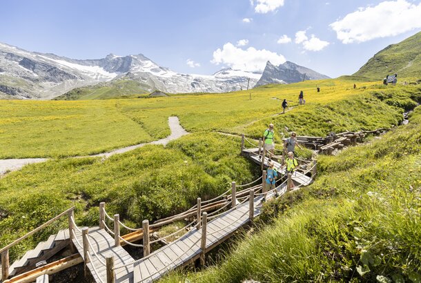 Luis’ Gletscher-flohsafari