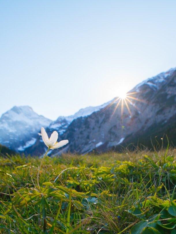 hintertux glacier in autumn
