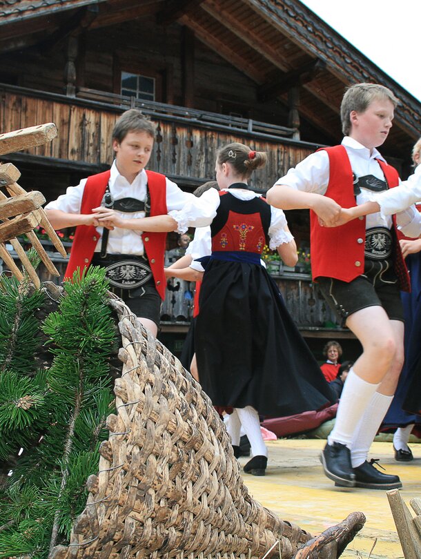 alpine farm in the Tyrol summer holiday